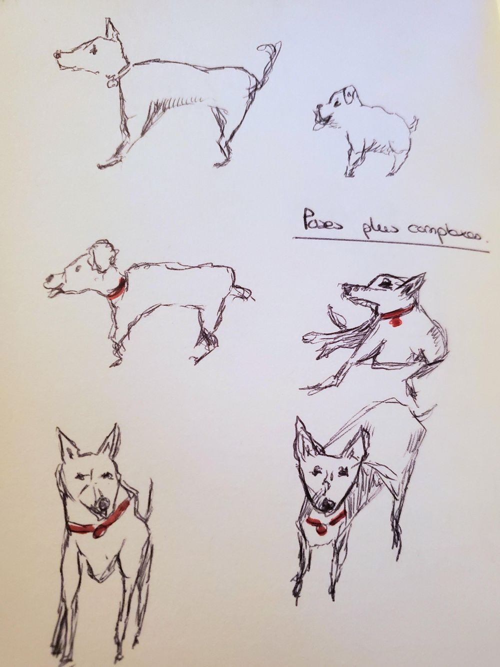 Doodle dogs - image 1 - student project