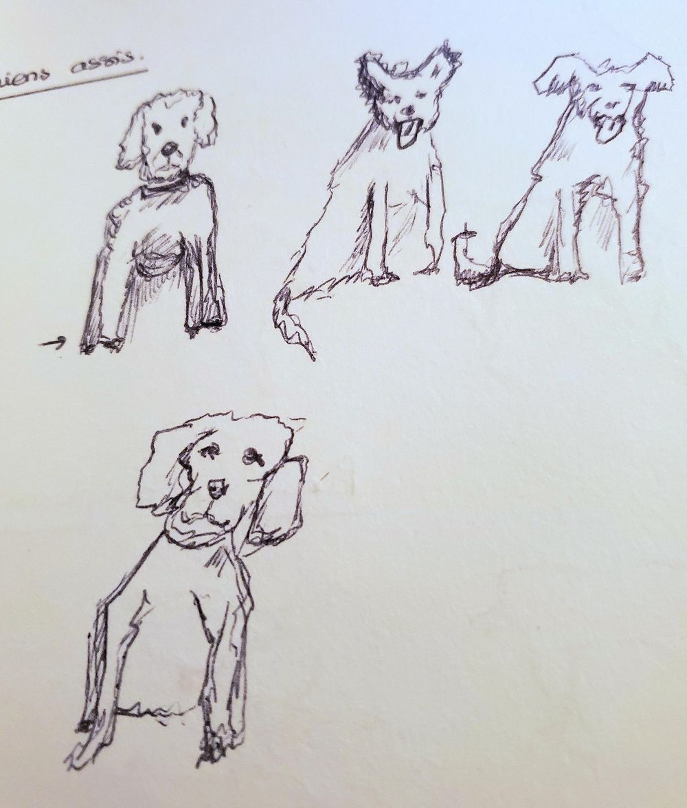 Doodle dogs - image 2 - student project