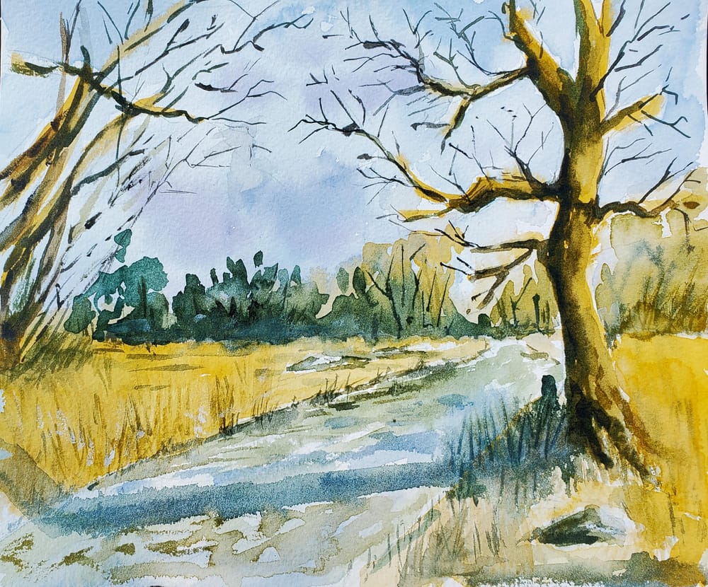 Paysage à la campagne - image 1 - student project