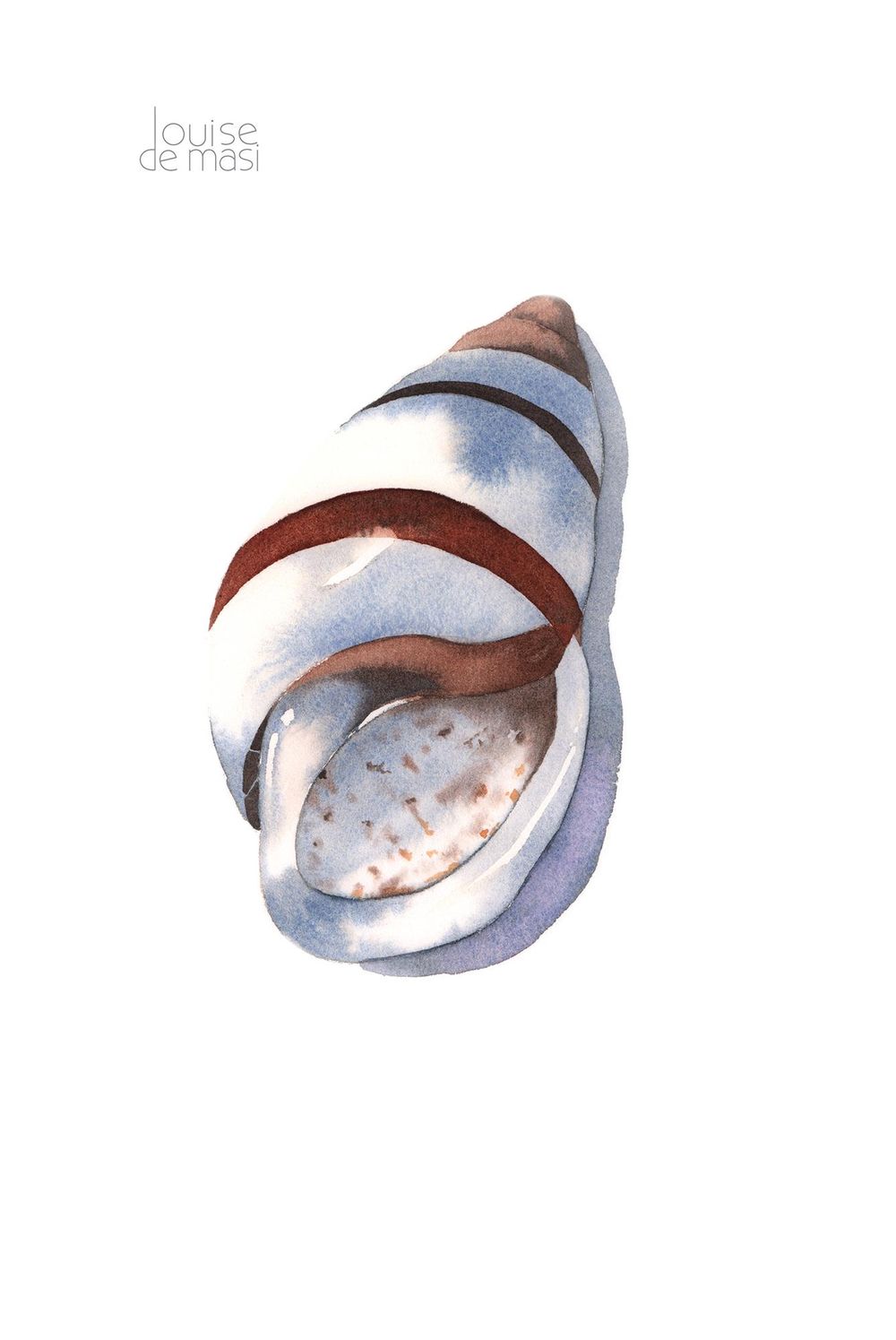 Seashells - image 1 - student project