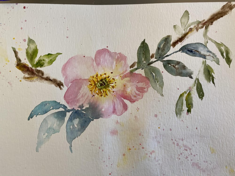 Experimenting with water for loose floral watercolour painting - image 3 - student project