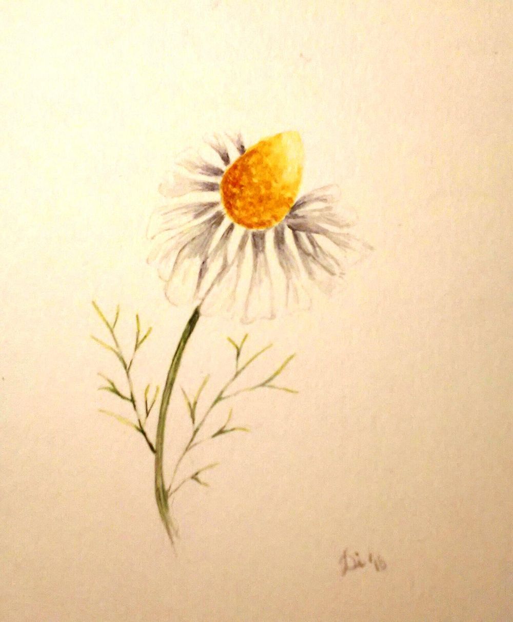 botanical - image 2 - student project