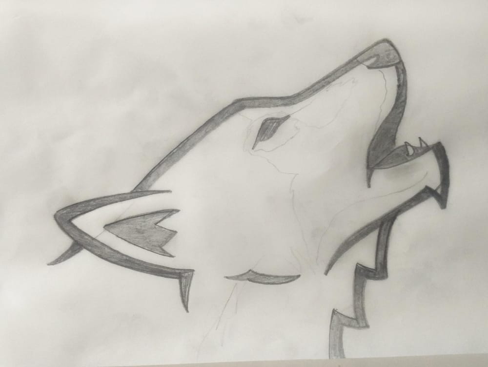 Huargos CS-GO Team - image 3 - student project