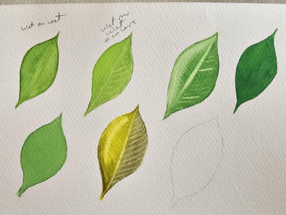 Dry brush and watercolor techniques - image 1 - student project