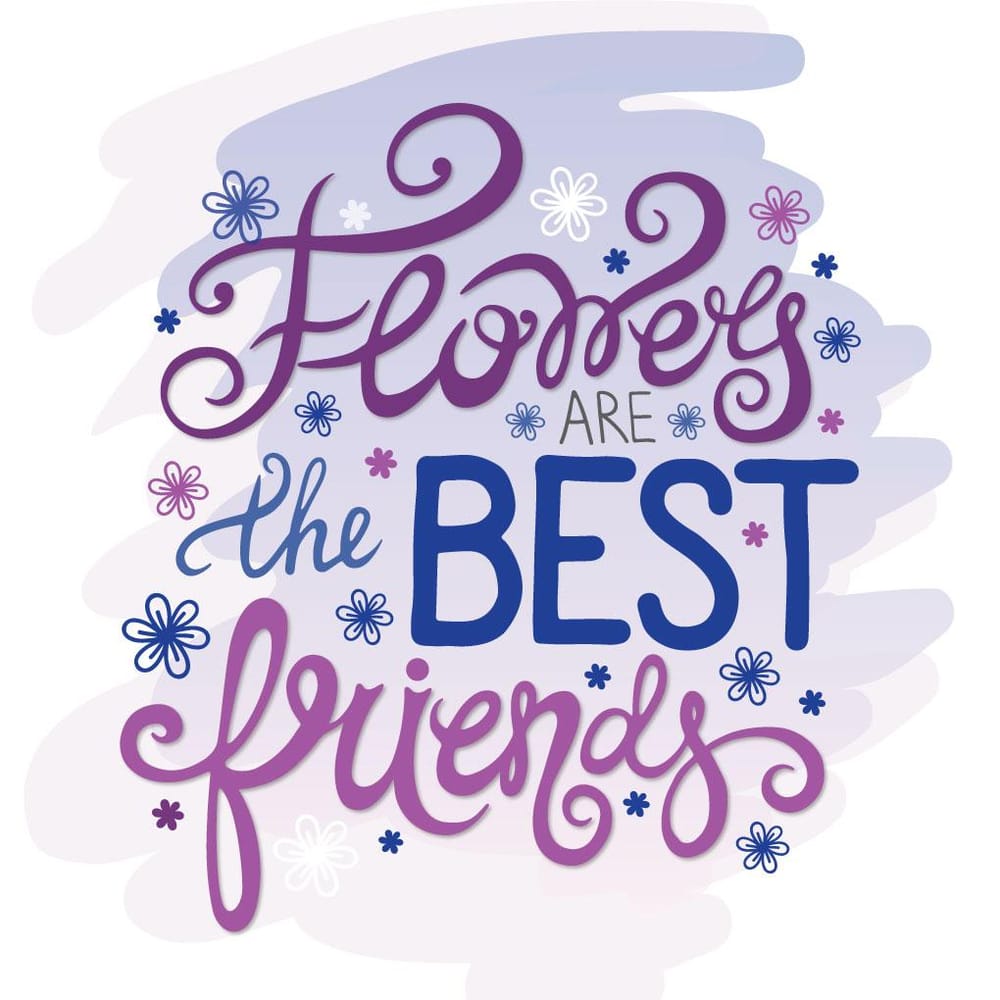 Lettering Project - image 1 - student project