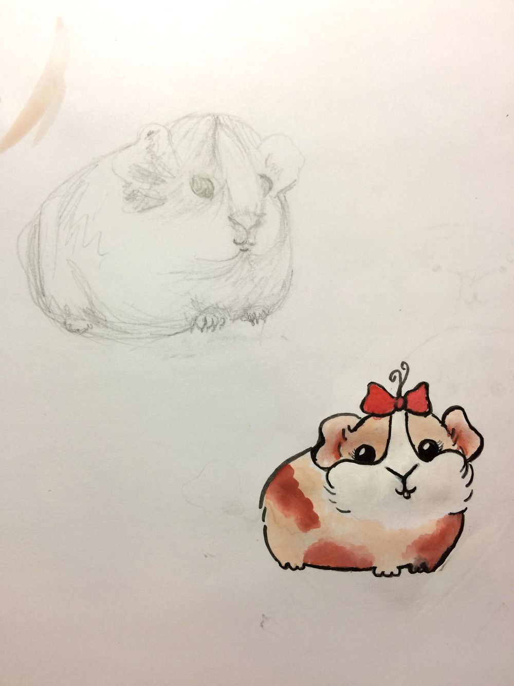 Guinea Pig & Killer Whale Cuties - image 1 - student project