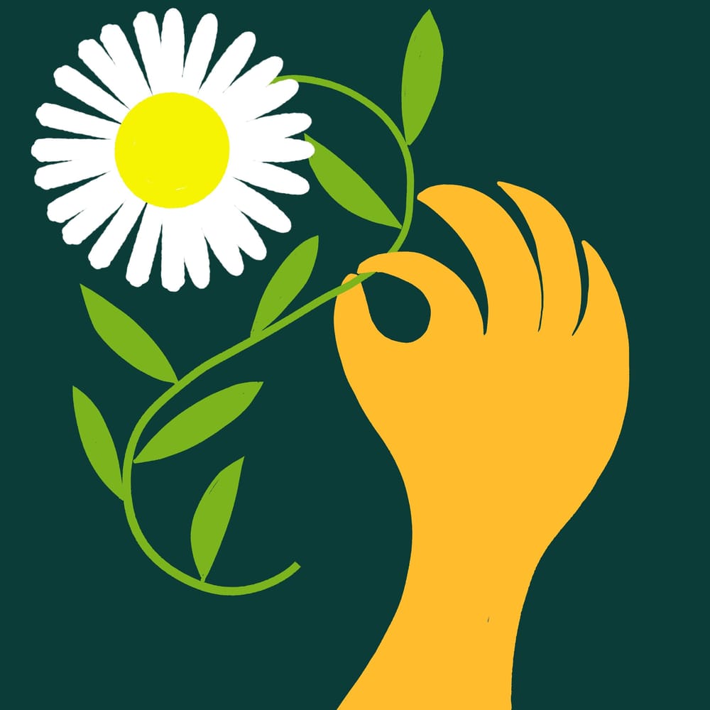 I added an animated gif and a review /reflection - image 10 - student project