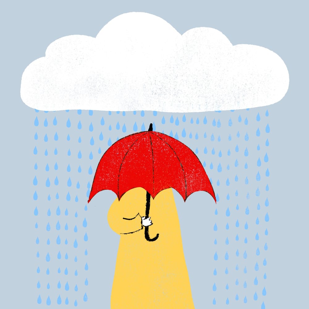 I added an animated gif and a review /reflection - image 17 - student project