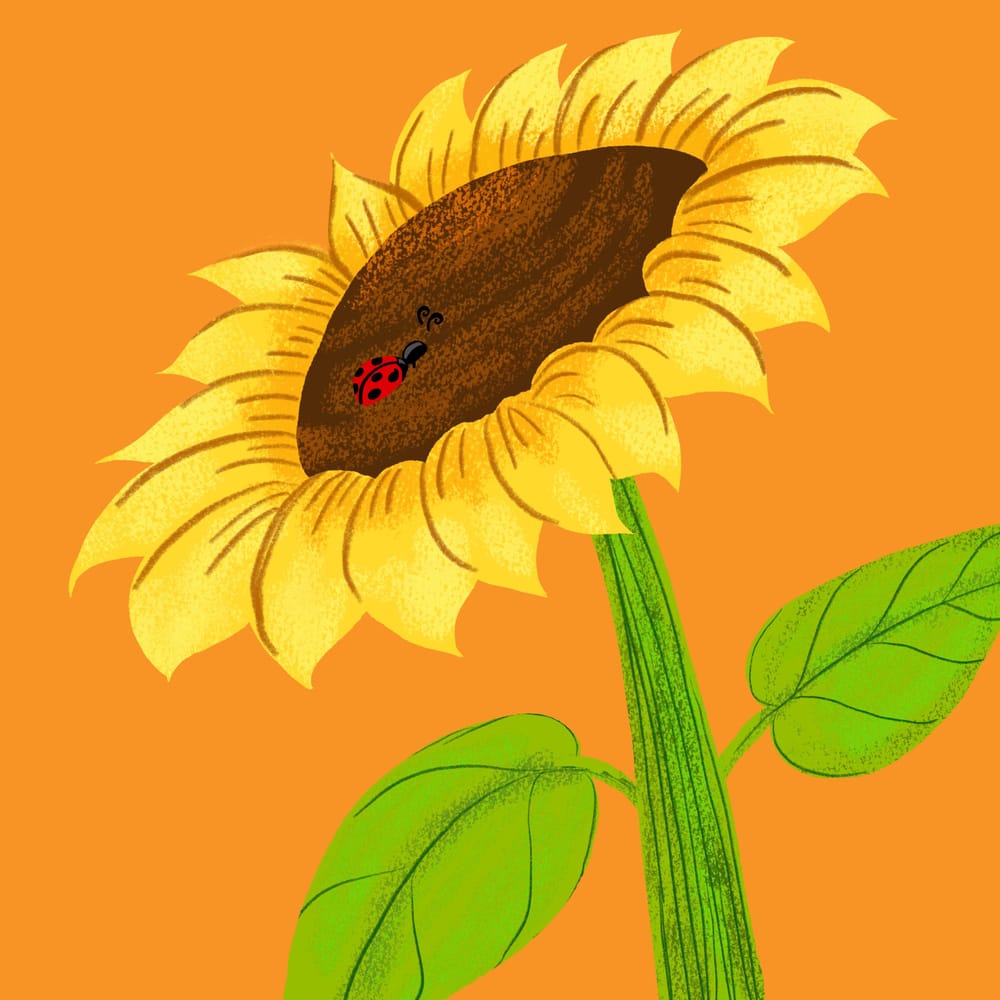 I added an animated gif and a review /reflection - image 8 - student project