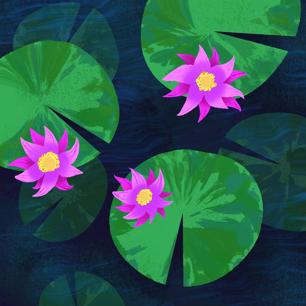 I added an animated gif and a review /reflection - image 11 - student project