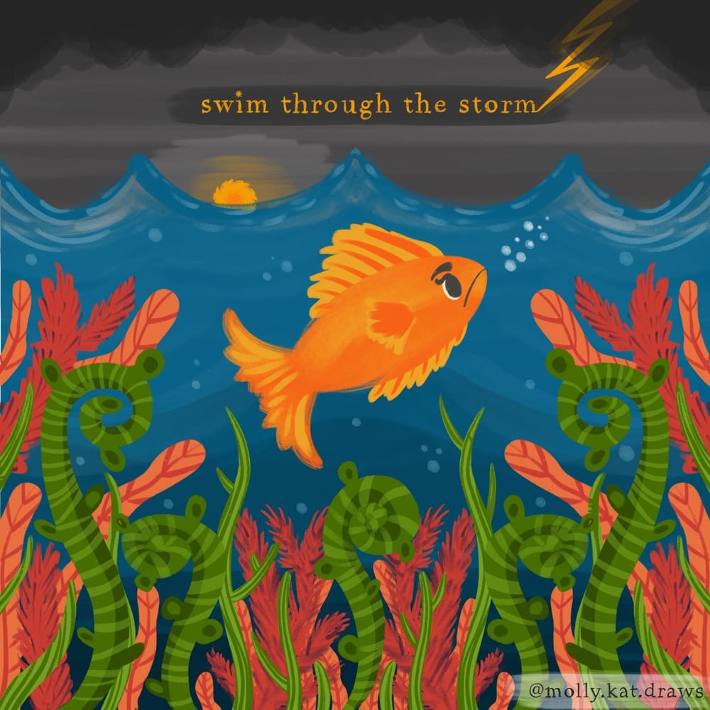 Bees and fishes - image 2 - student project