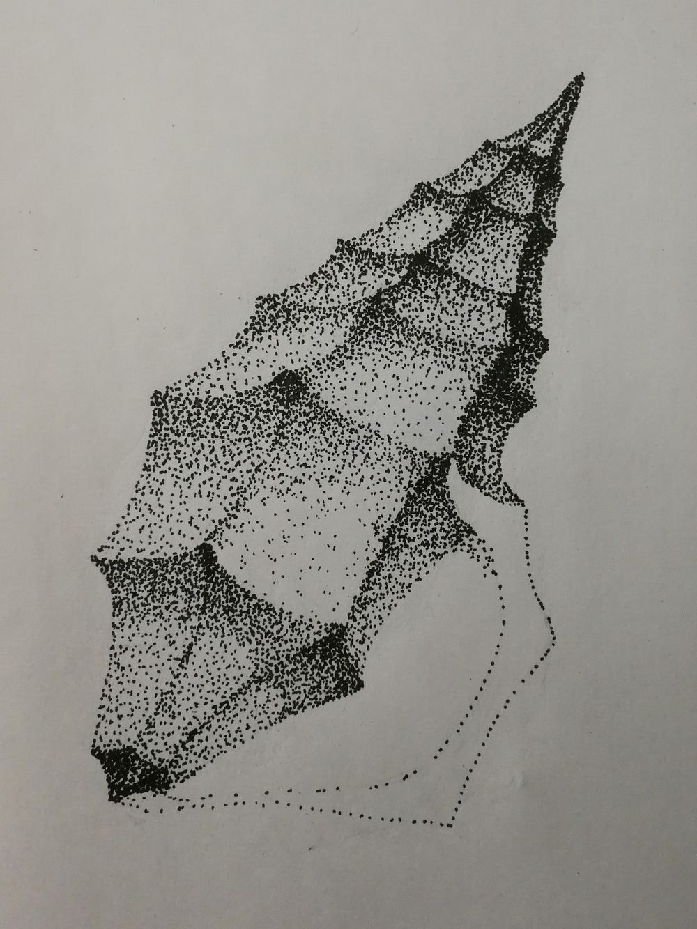 Seashell - image 2 - student project