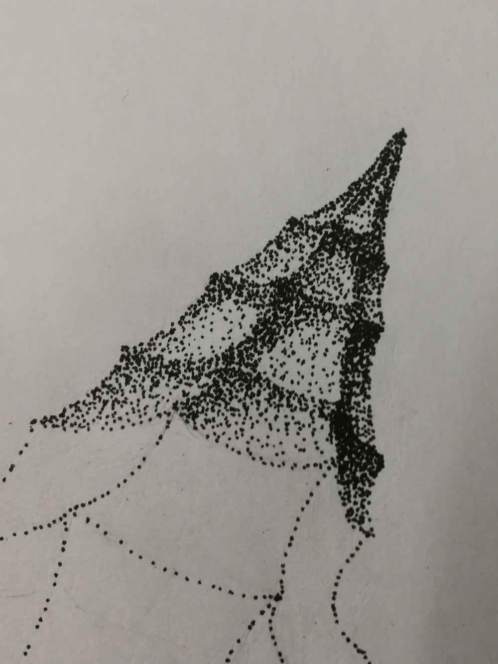 Seashell - image 1 - student project