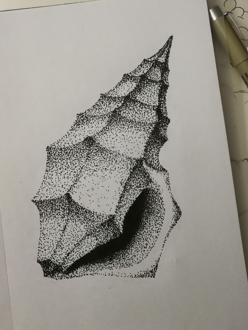 Seashell - image 3 - student project