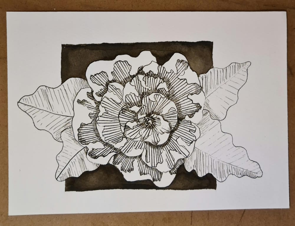 Dip-pen flower - image 2 - student project