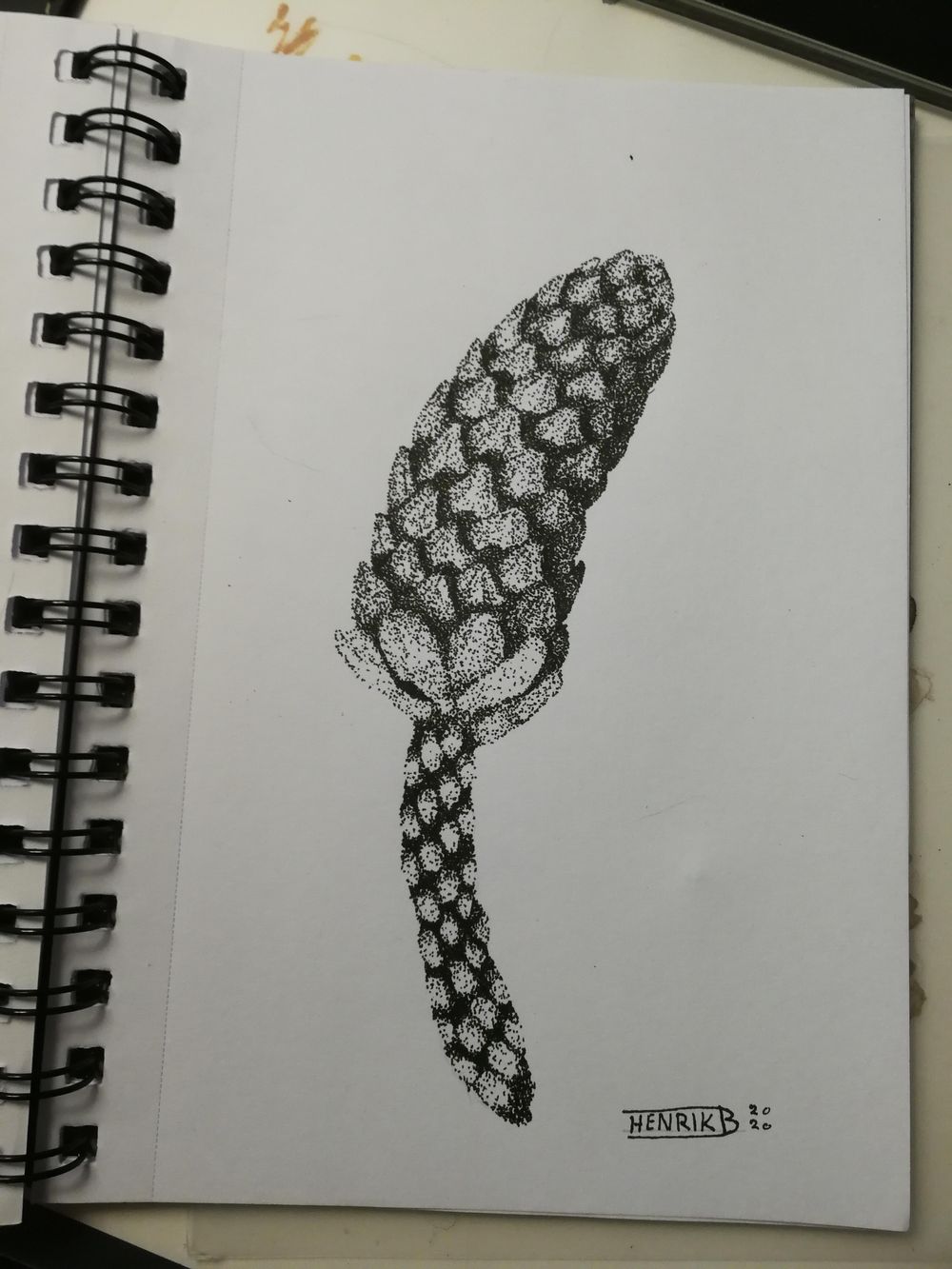 Seashell - image 5 - student project