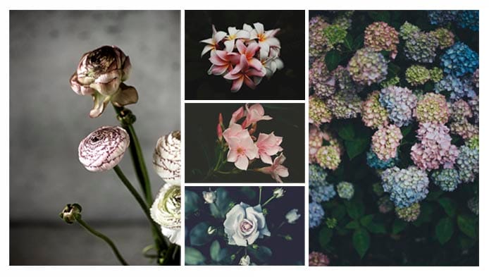 watercolor florals - image 1 - student project