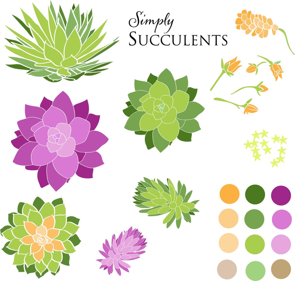 Workshop #2 : Illustrate from Photos & Paintings: Design 4 Patterns in 3 Weeks - image 6 - student project