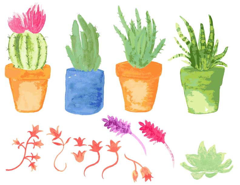 Workshop #2 : Illustrate from Photos & Paintings: Design 4 Patterns in 3 Weeks - image 5 - student project