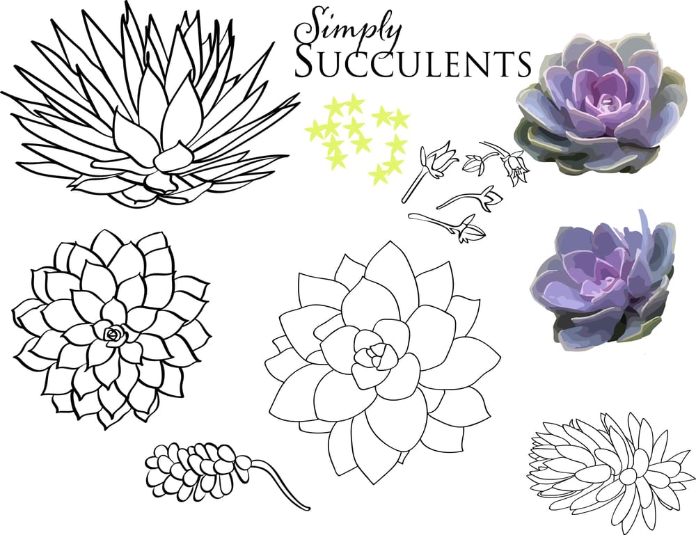 Workshop #2 : Illustrate from Photos & Paintings: Design 4 Patterns in 3 Weeks - image 12 - student project