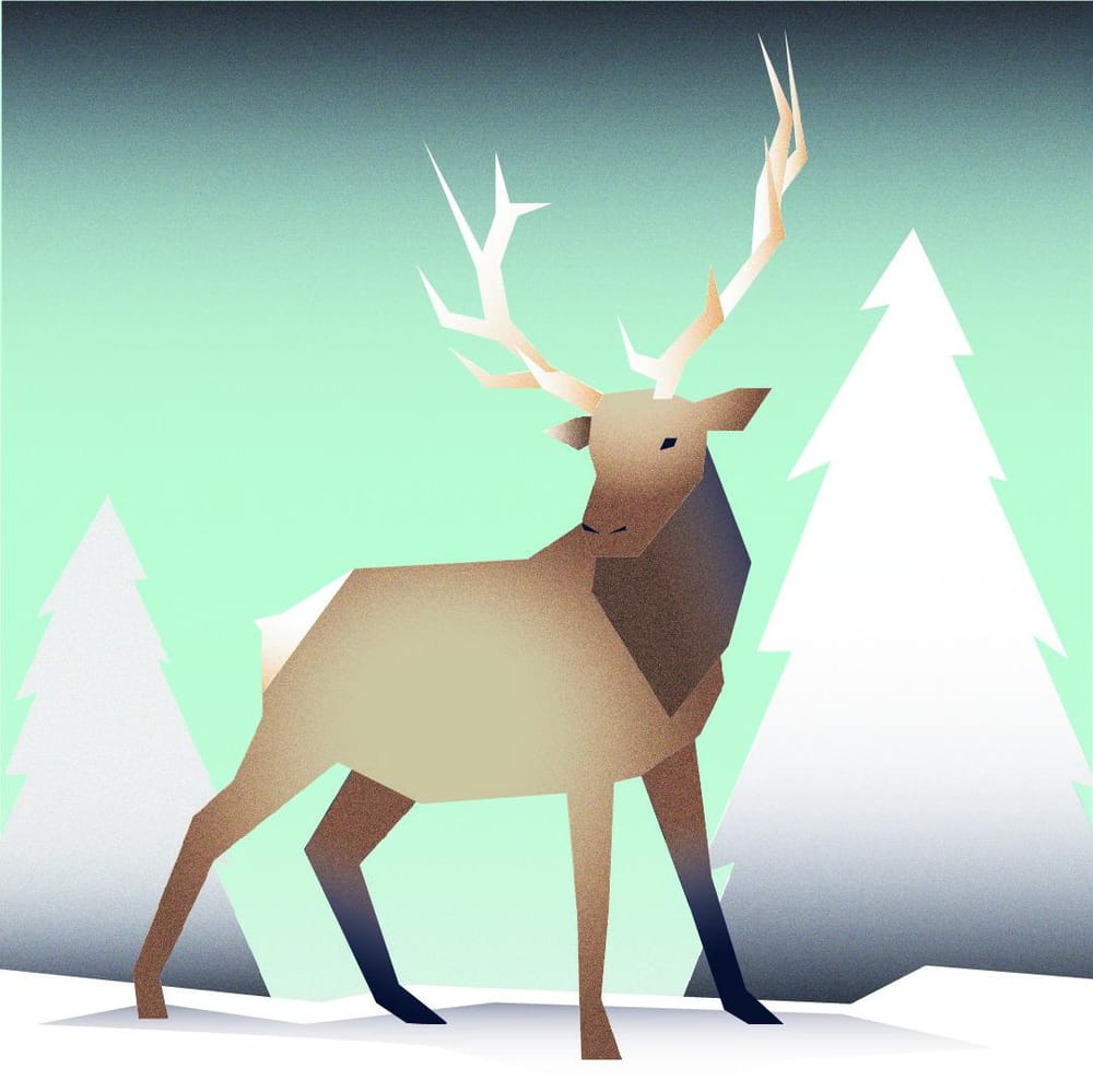 Elk - image 2 - student project