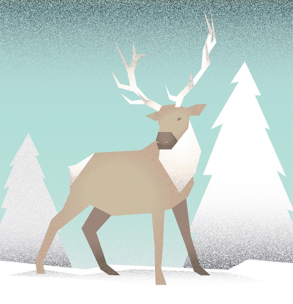 Elk - image 3 - student project