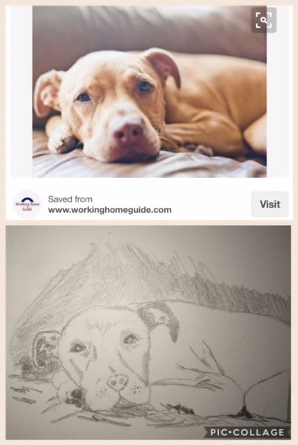 Pit Puppy - image 1 - student project