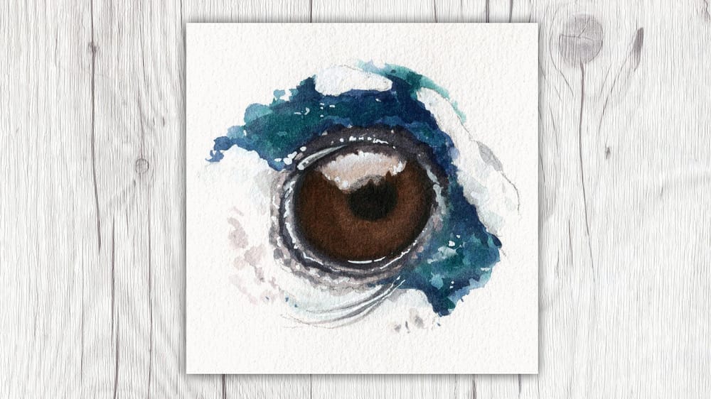 My Animal Eyes - image 3 - student project