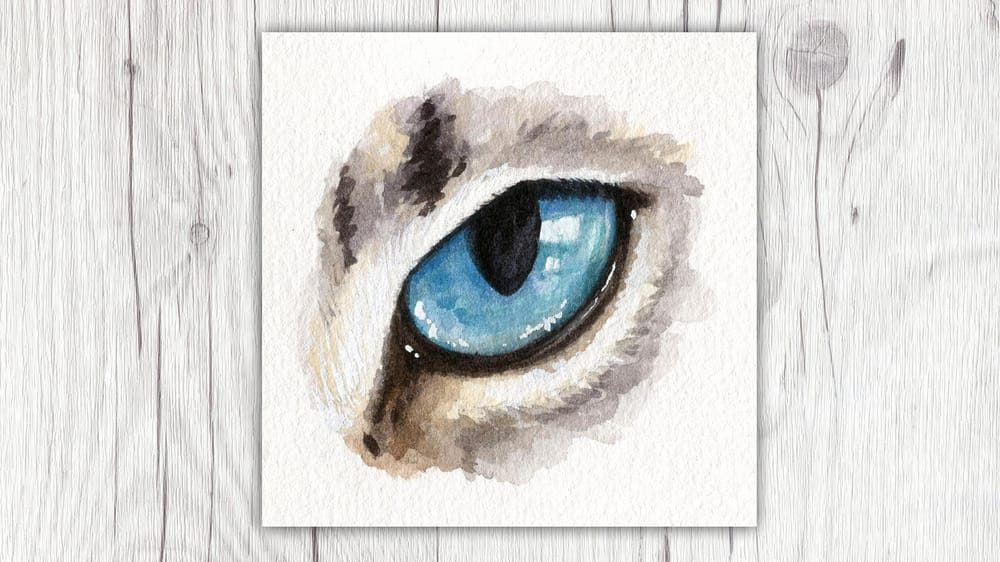 My Animal Eyes - image 2 - student project