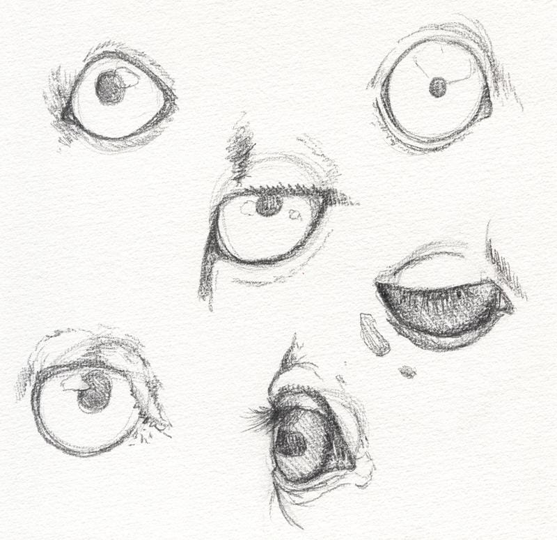 My Animal Eyes - image 1 - student project
