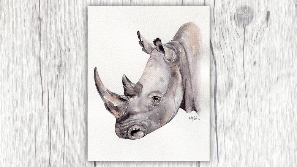 Rhinoceros Portrait - image 1 - student project