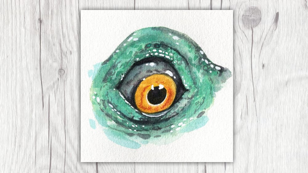 My Animal Eyes - image 4 - student project