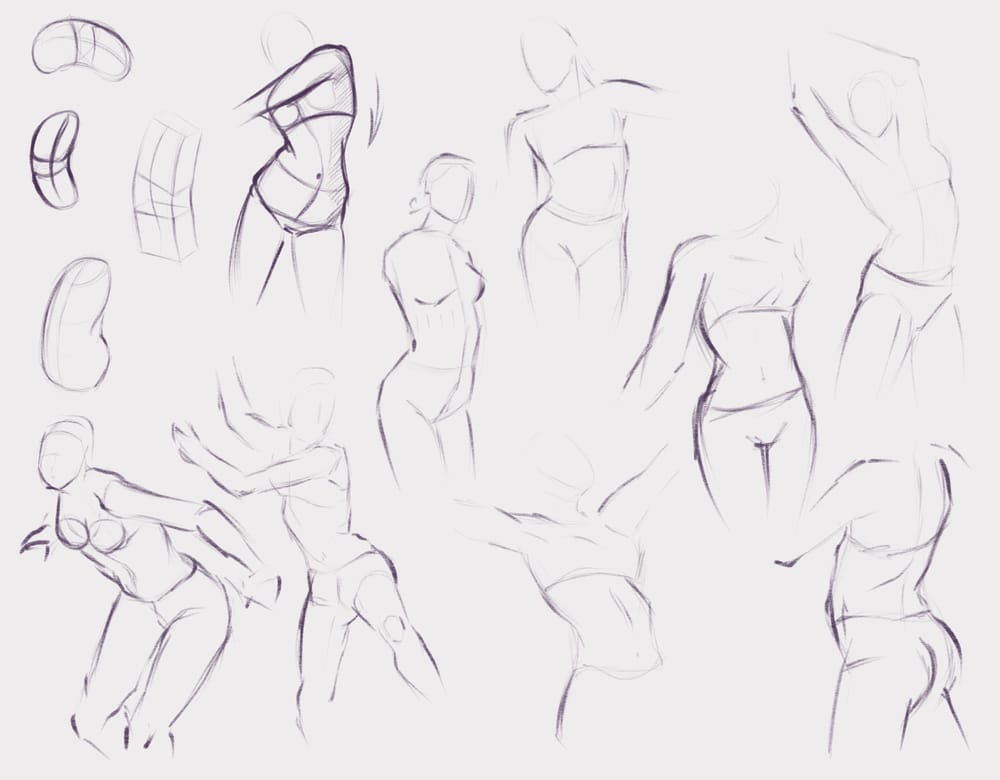 Beginner Figure Drawing Fundamentals Dynamic Poses Bending And - Form ...