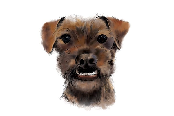 Milo - image 2 - student project