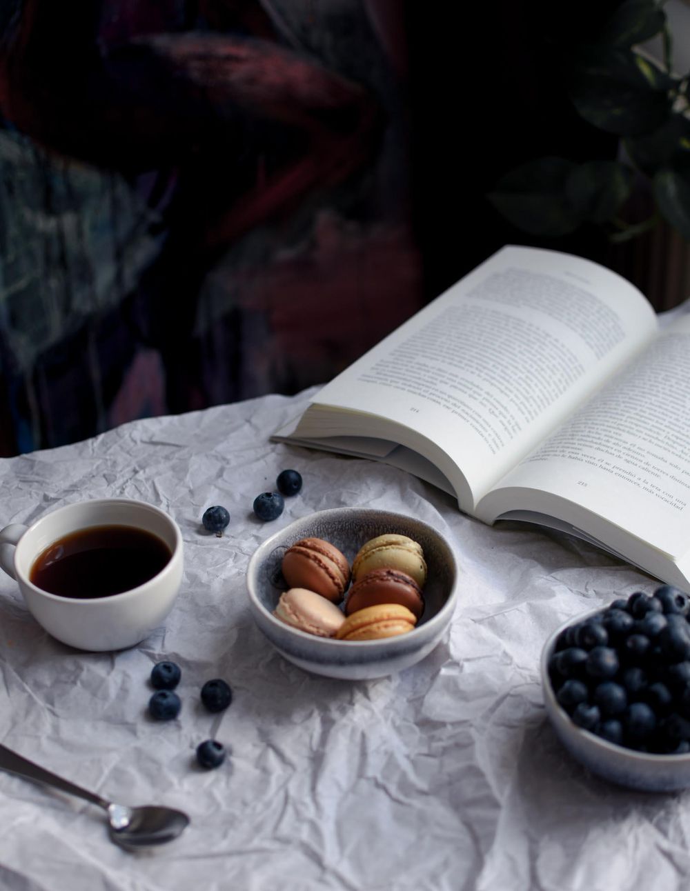 Macarrons & Blueberries - image 1 - student project