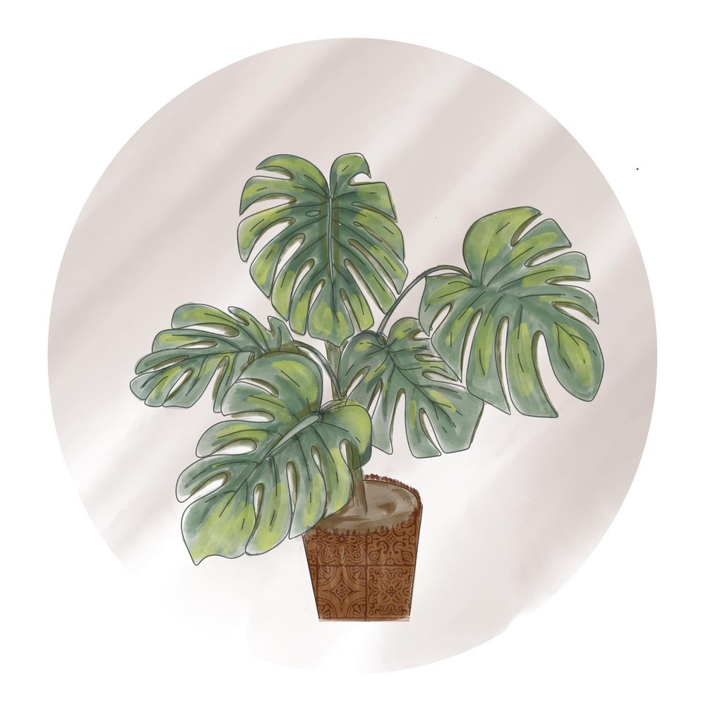 Finding my Art style project - image 2 - student project