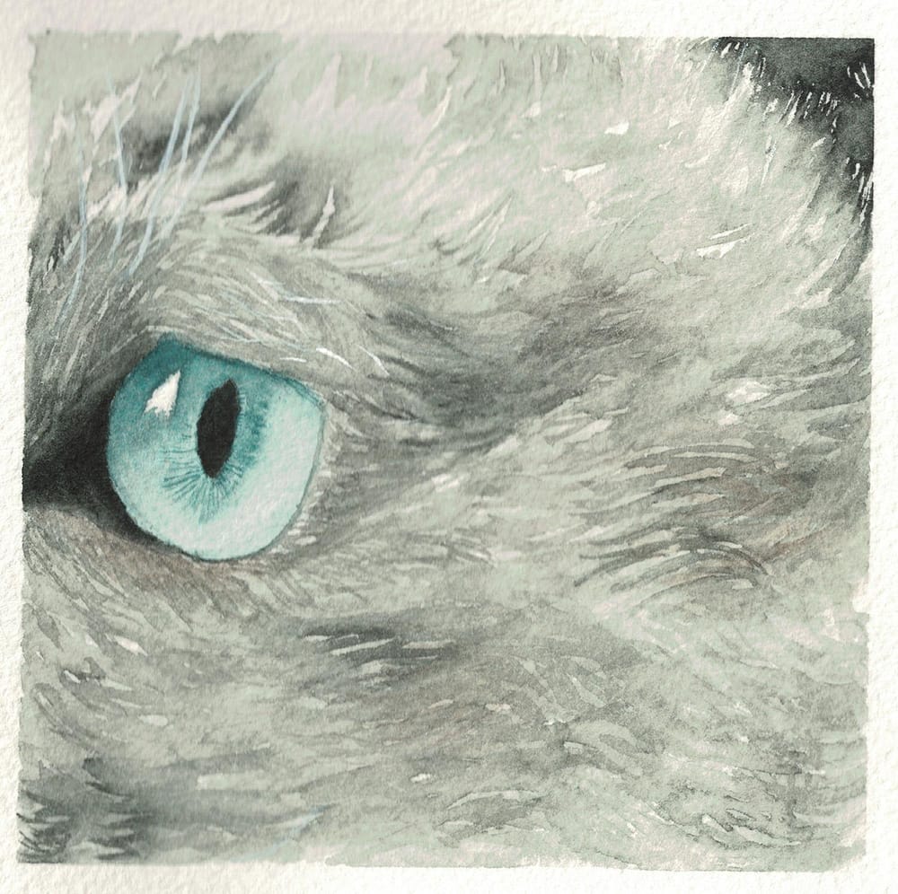 Animal textures - image 2 - student project