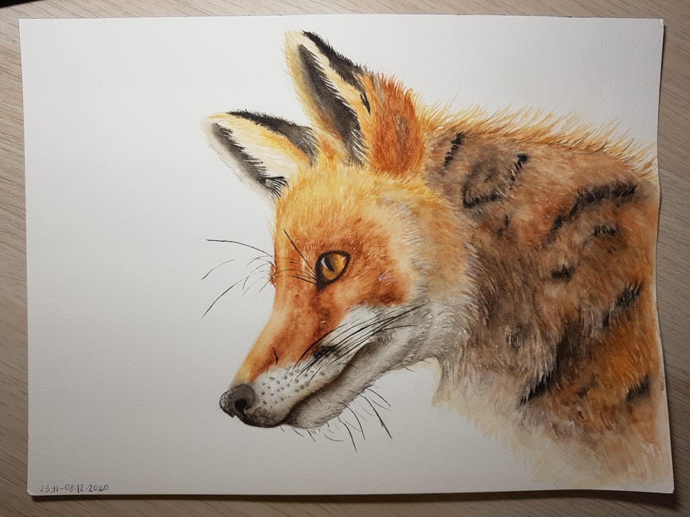 Animal textures - image 7 - student project