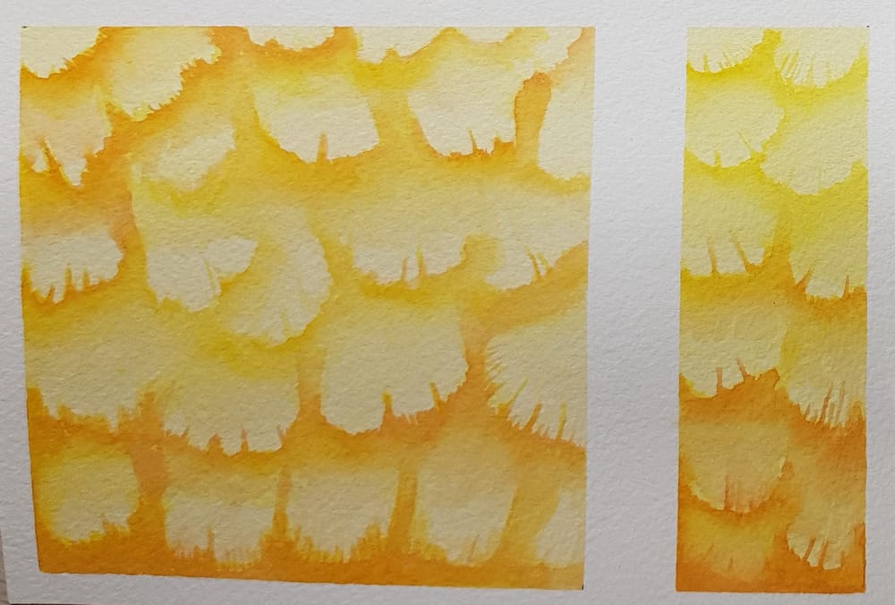 Animal textures - image 4 - student project