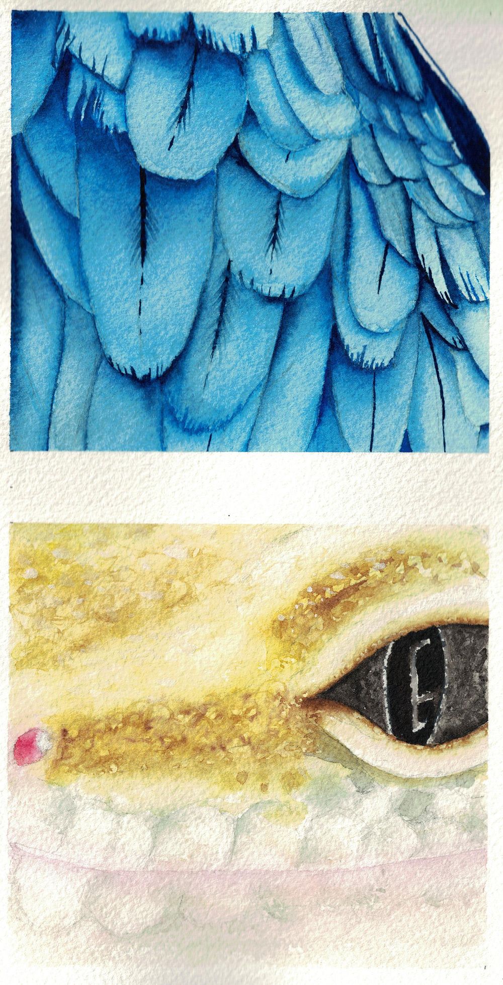 Animal textures - image 5 - student project