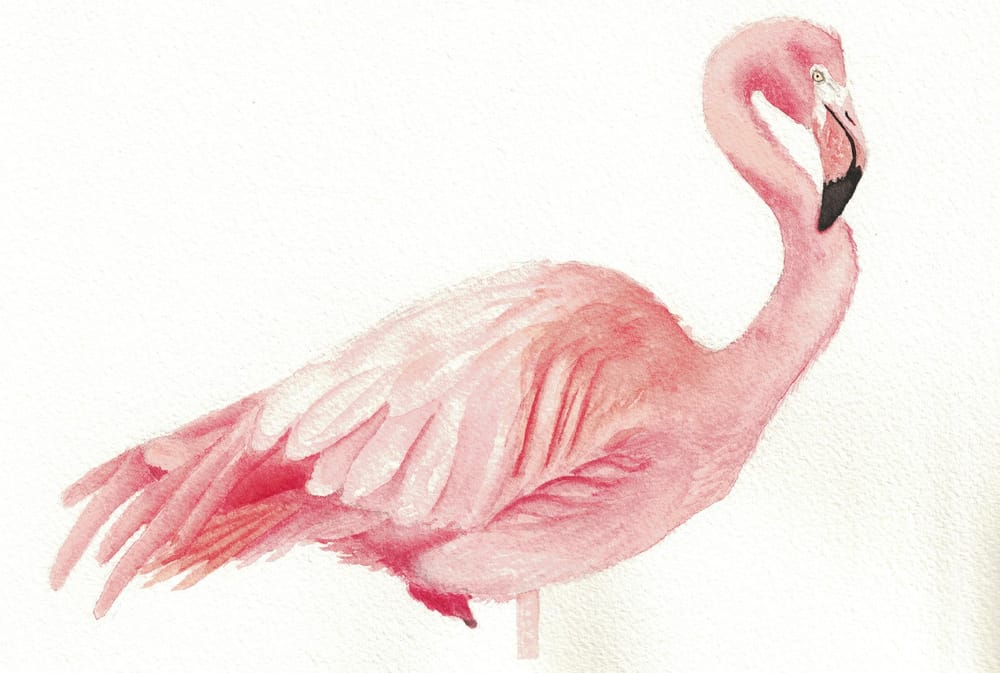 Animal textures - image 8 - student project