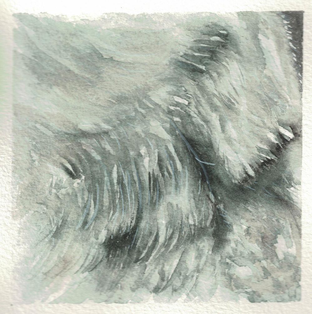 Animal textures - image 3 - student project