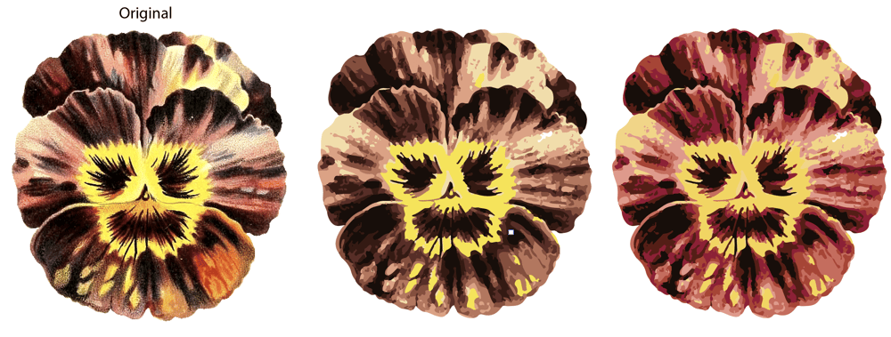 Photo to vector with pre-edit - image 1 - student project