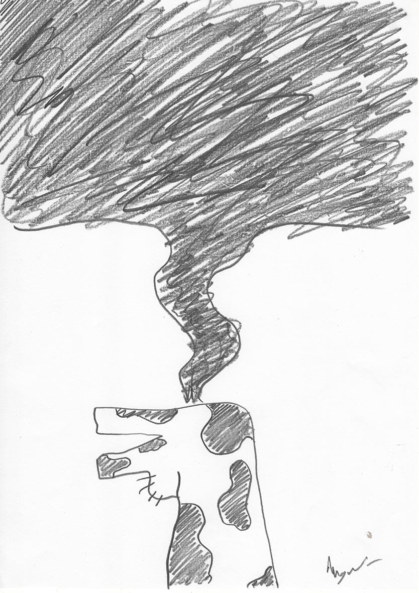 Animal Agriculture - image 5 - student project