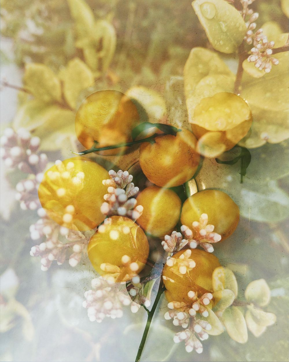 Double Exposure With Pixlr - image 2 - student project