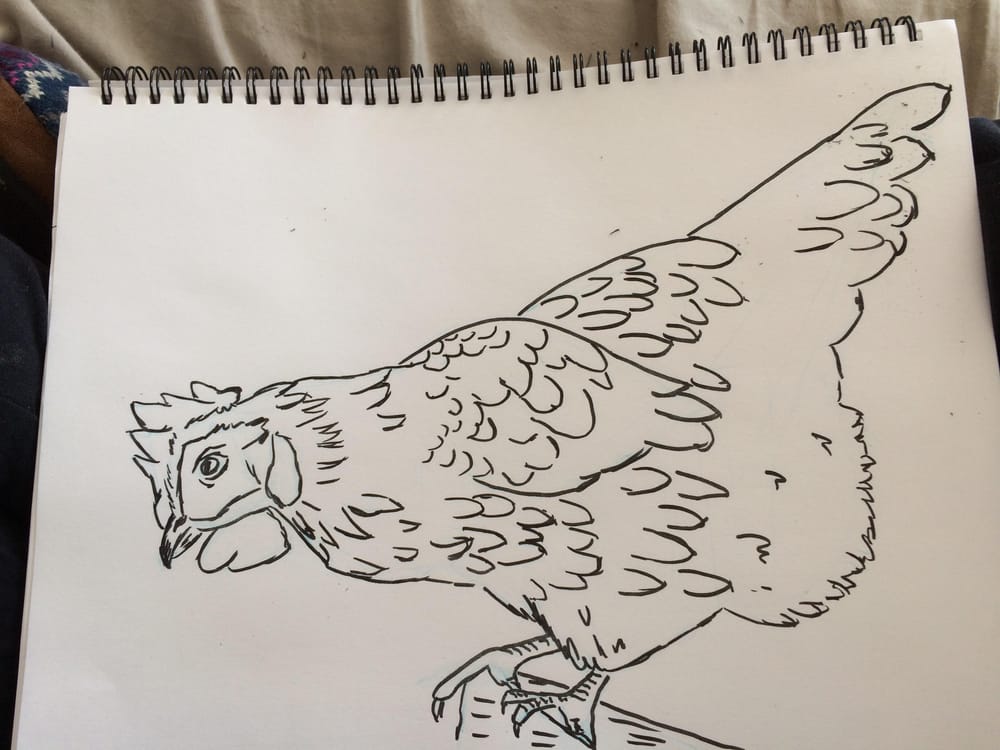 My Drawings - image 1 - student project