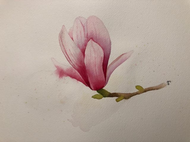 Magnolia - image 1 - student project