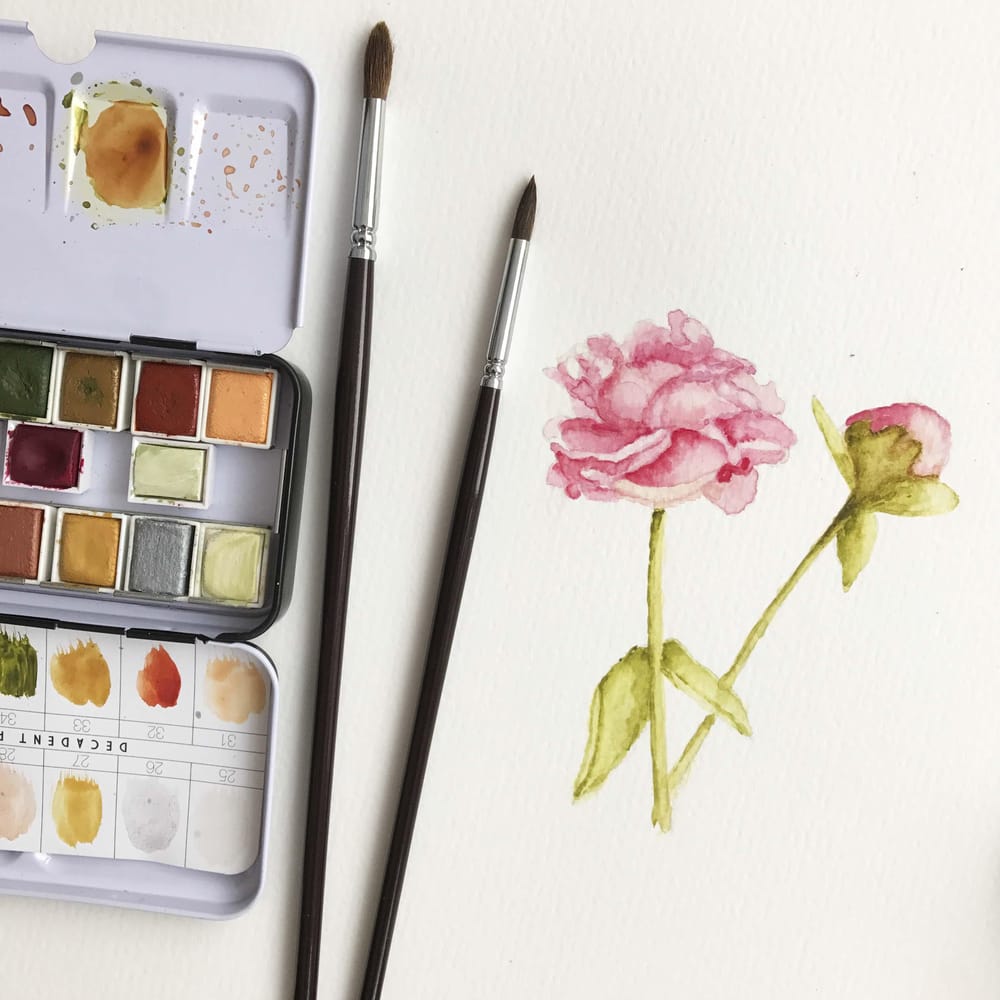 My Peony Painting - image 2 - student project