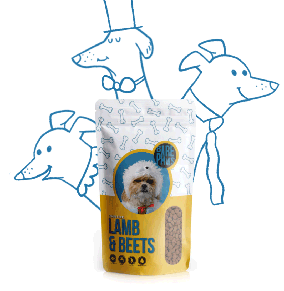 Pet Food Animation - image 2 - student project