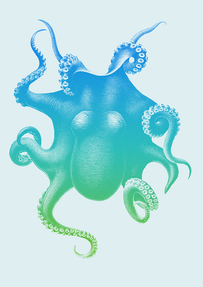 Funky Monkey - image 1 - student project